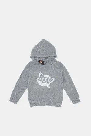 Infant Boys Grey Hooded Pullover
